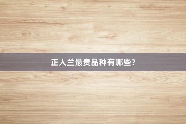 正人兰最贵品种有哪些？